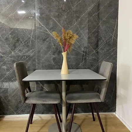 Kristal Center, Studio,near Artificial *