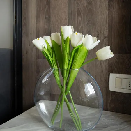 Kristal Center, Studio,near Artificial